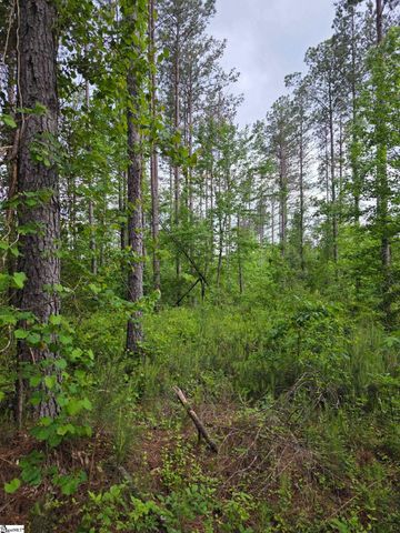 862 Dunklin Bridge Road, Fountain Inn, SC 29644