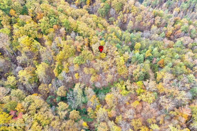 Lots 1 2 3 Timber Grove Rd, Sevierville, TN 37862