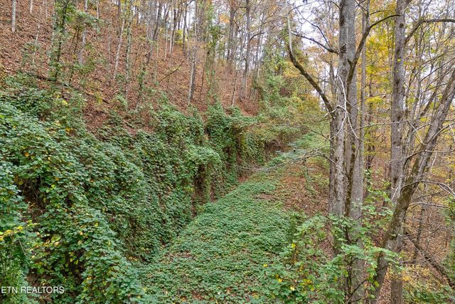 Lots 1 2 3 Timber Grove Rd, Sevierville, TN 37862