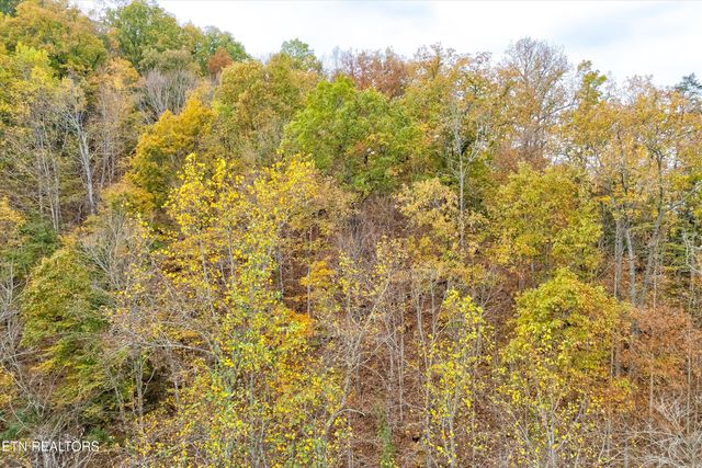 Lots 1 2 3 Timber Grove Rd, Sevierville, TN 37862