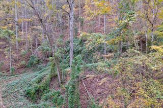 Lots 1 2 3 Timber Grove Rd, Sevierville, TN 37862