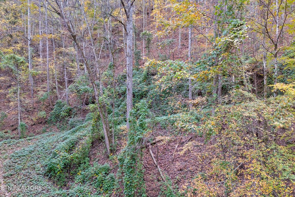 Lots 1 2 3 Timber Grove Rd, Sevierville, TN 37862