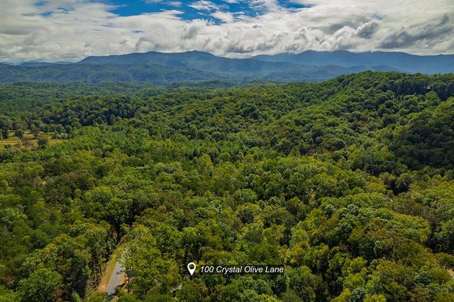 100 Crystal Oliver Lane, Blue Ridge, GA 30513