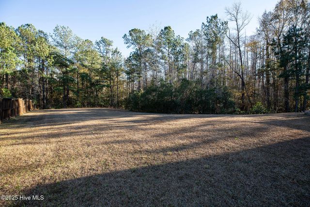 320 Coralstone Court, Leland, NC 28451