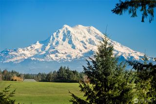 29622 48th Avenue S, Roy, WA 98580