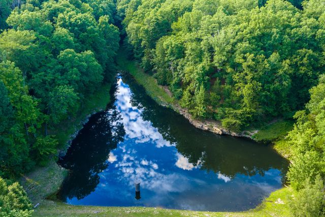1003 Champion Hills Dr, Kingston Springs, TN 37082