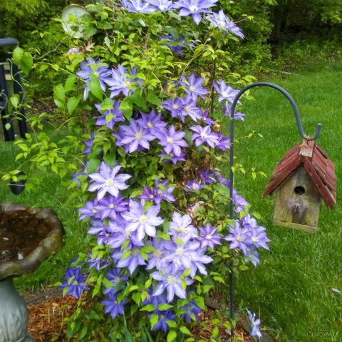 6323 Ashford Drive, Miami Twp, OH 45140