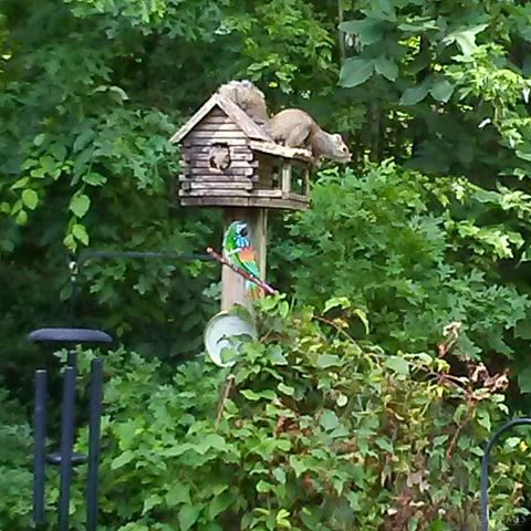 6323 Ashford Drive, Miami Twp, OH 45140