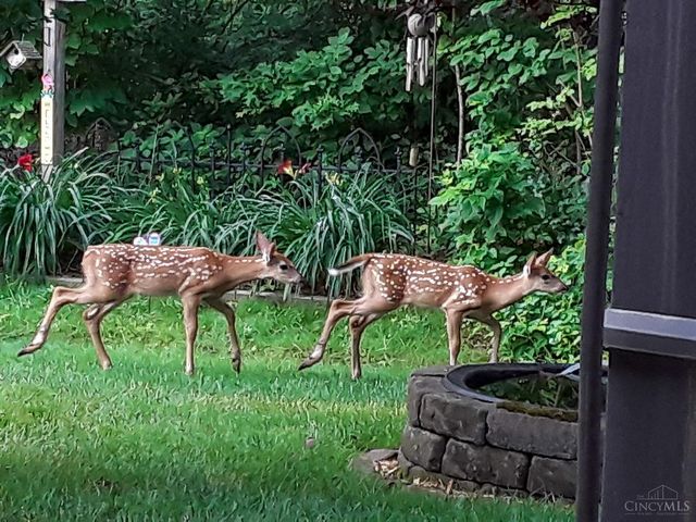 6323 Ashford Drive, Miami Twp, OH 45140