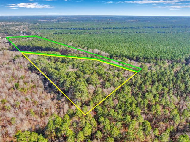 0 & 00 Pelican Road, Shepherd, TX 77371