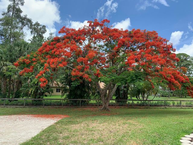 180 Elaine Road, West Palm Beach, FL 33415