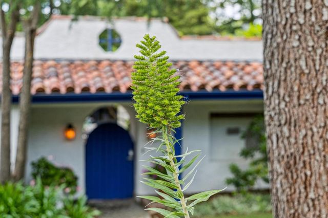 237 Harding Avenue, Los Gatos, CA 95030