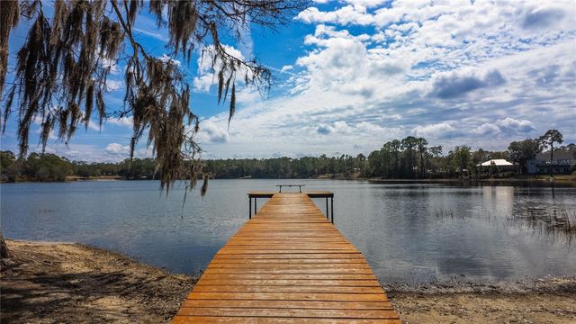 727 NE 130TH TERRACE, Silver Springs, FL 34488