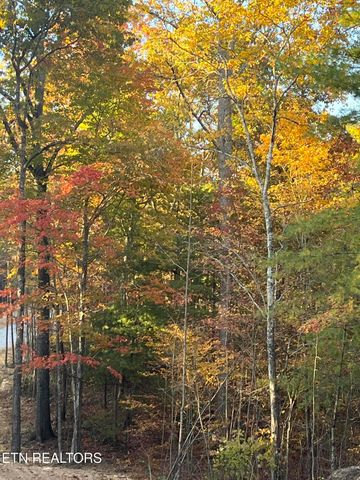 107 Cherokee Path, Tellico Plains, TN 37385