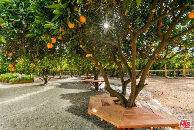 828 985 Fordyce Rd & 2561 Grand Avenue, Ojai, CA 93023