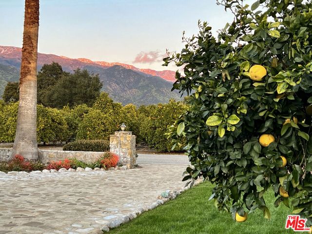 828 985 Fordyce Rd & 2561 Grand Avenue, Ojai, CA 93023