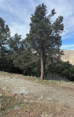 0 Orchard, Wrightwood, CA 92397