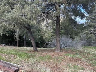 0 Orchard, Wrightwood, CA 92397