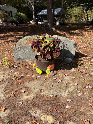 9 Kenyann Drive, Wolfeboro, NH 03894