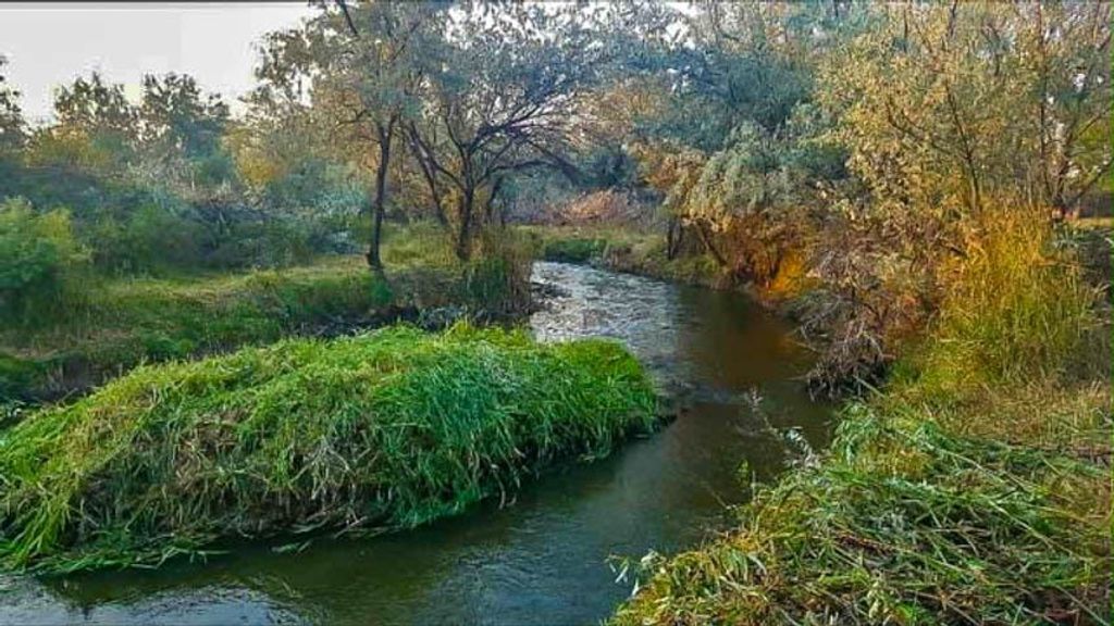 654 Hwy 20 N, Thermopolis, WY 82443 photo 2