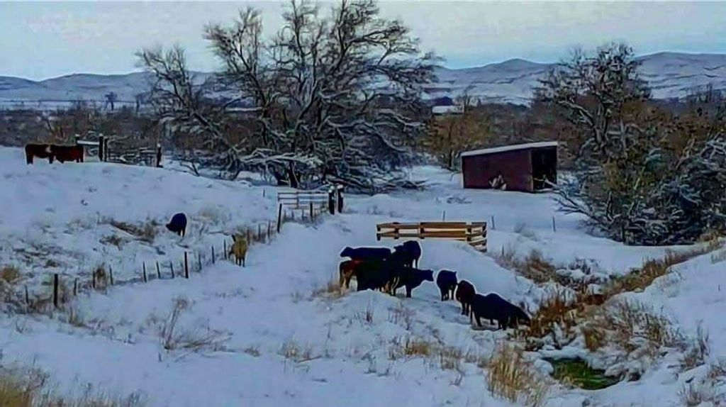 654 Hwy 20 N, Thermopolis, WY 82443 photo 15