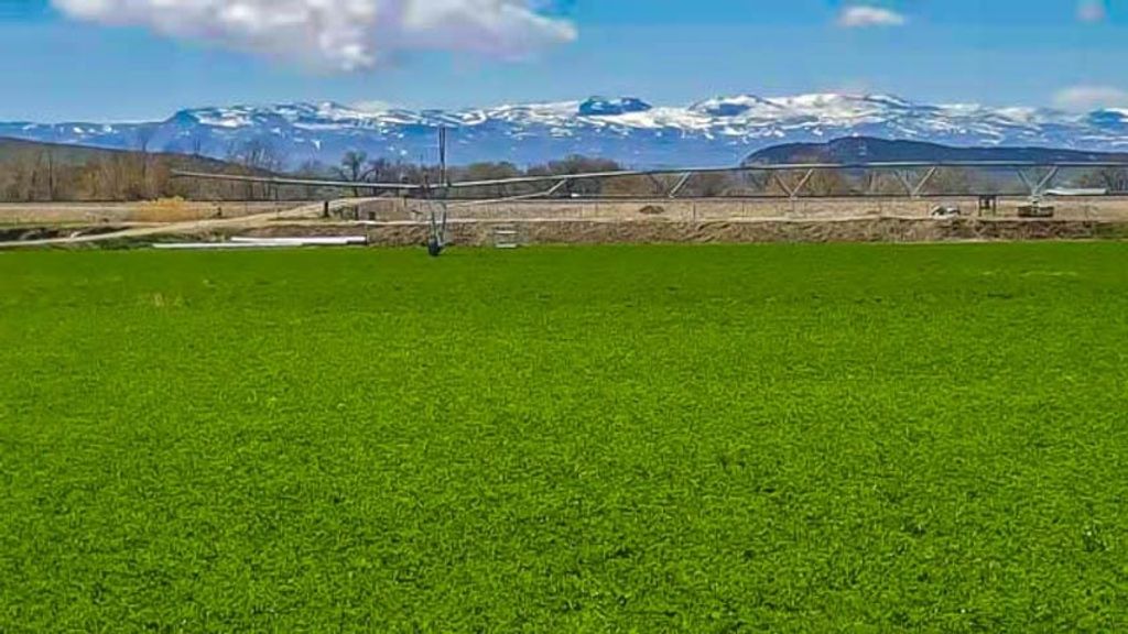 654 Hwy 20 N, Thermopolis, WY 82443 photo 8