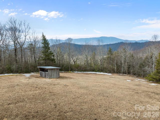951 Pine Tree Road, Spruce Pine, NC 28777