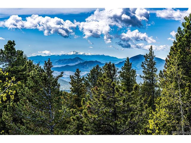 10955 Beas Dr, Conifer, CO 80433