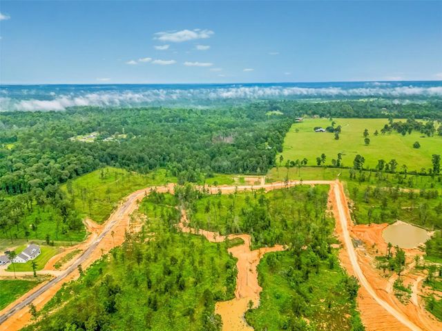 0 Quail Alley Circle, Livingston, TX 77351