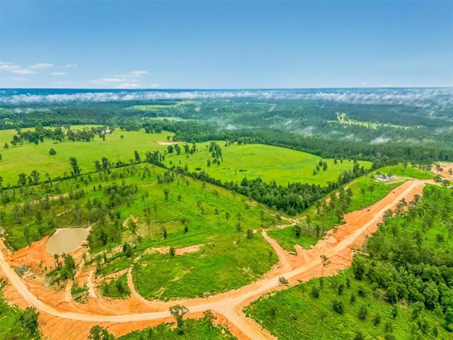 0 Quail Alley Circle, Livingston, TX 77351