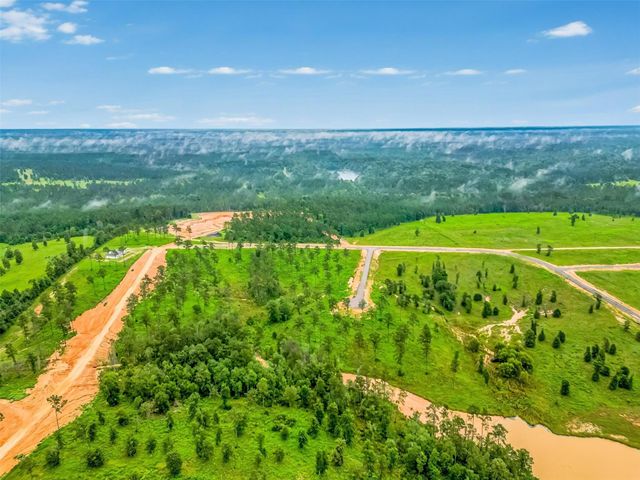 0 Quail Alley Circle, Livingston, TX 77351