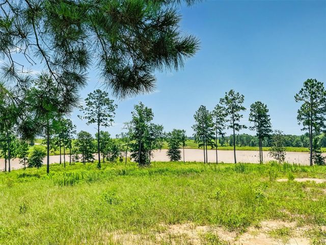 0 Quail Alley Circle, Livingston, TX 77351