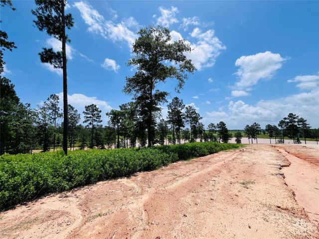0 Quail Alley Circle, Livingston, TX 77351