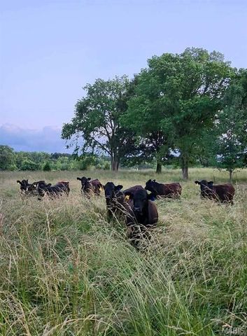 9081 W Red Oak Road, Rosebud, MO 63091