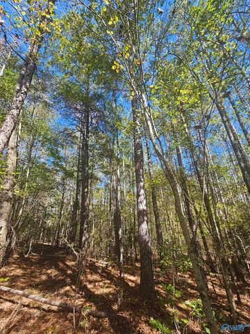 009 County Road 70, Sand Rock, AL 35984