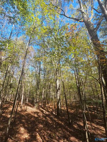 009 County Road 70, Sand Rock, AL 35984