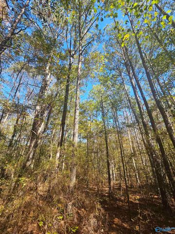 009 County Road 70, Sand Rock, AL 35984