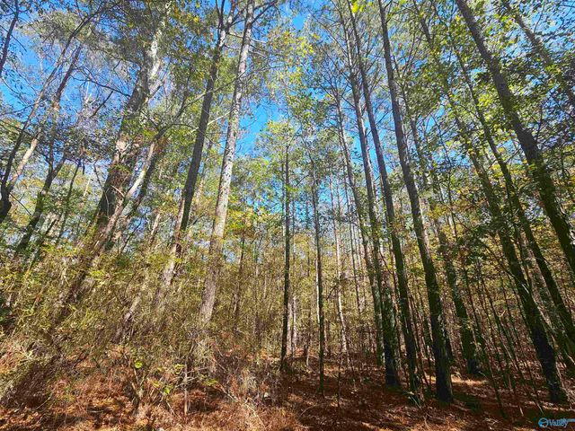 009 County Road 70, Sand Rock, AL 35984