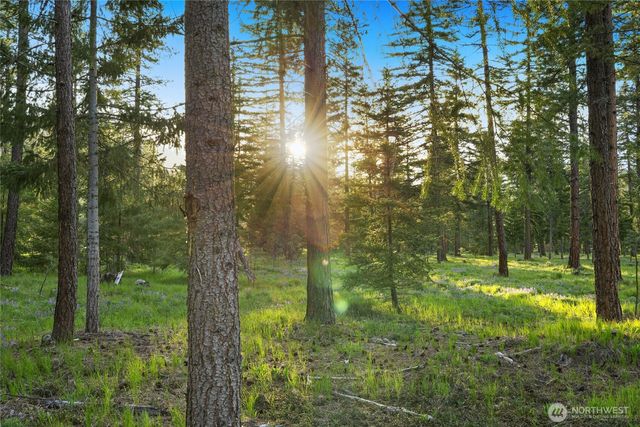 1001 Domerie Park Loop, Cle Elum, WA 98922