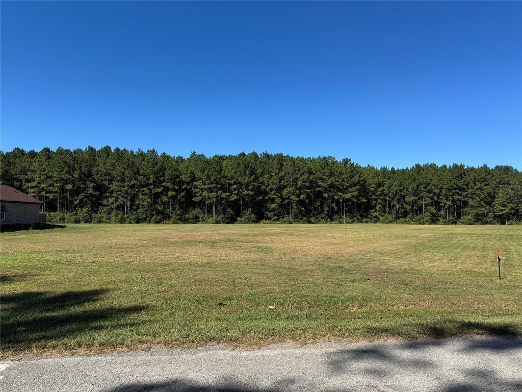 1985 Pan Am Road, Kountze, TX 77624