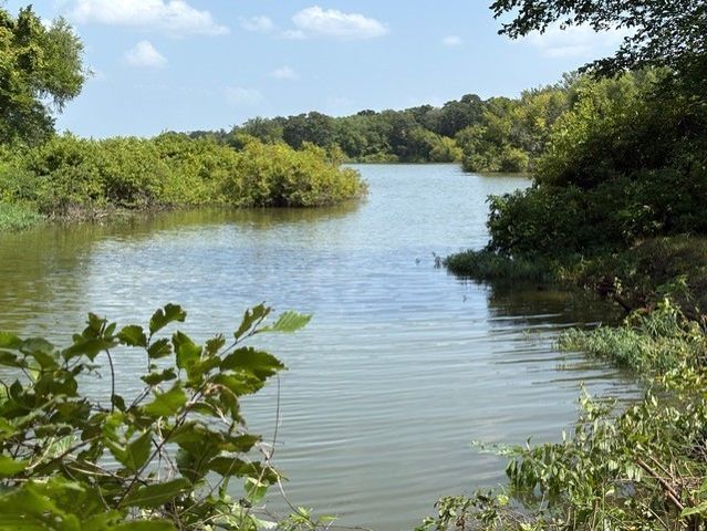 9553 Amy Drive, Hawk Cove, TX 75474