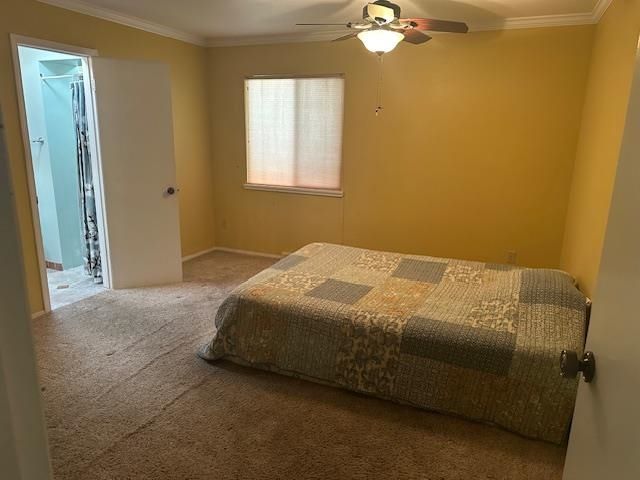 454 33 Road, Clifton, CO 81520