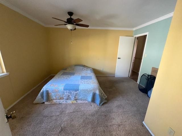 454 33 Road, Clifton, CO 81520