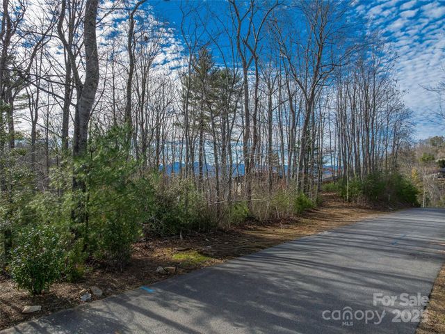 10 Villa Nova Drive, Asheville, NC 28804