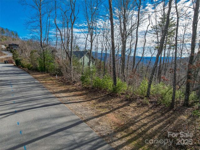 10 Villa Nova Drive, Asheville, NC 28804