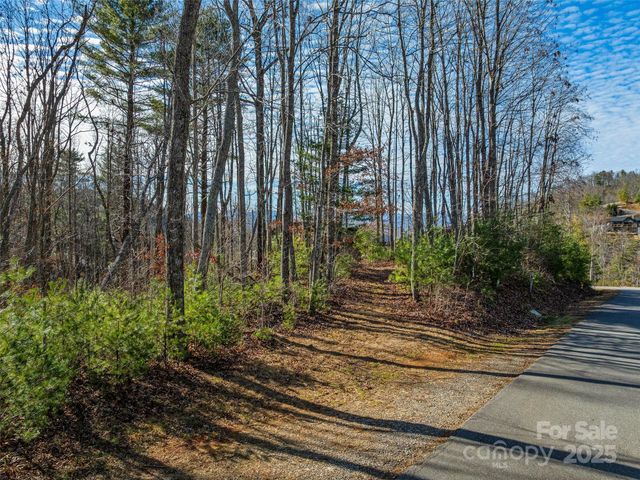 10 Villa Nova Drive, Asheville, NC 28804