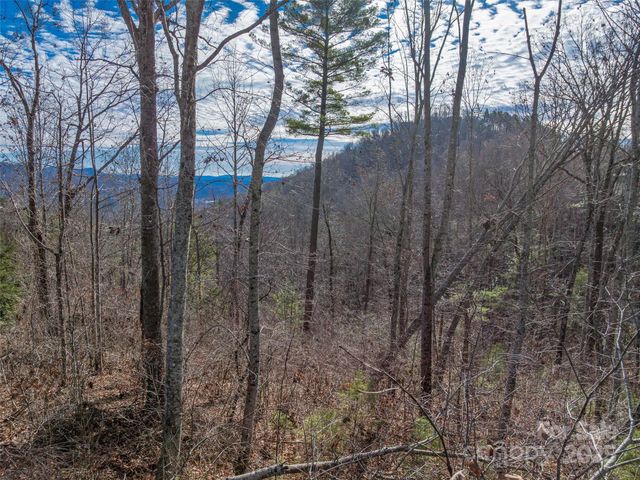 10 Villa Nova Drive, Asheville, NC 28804