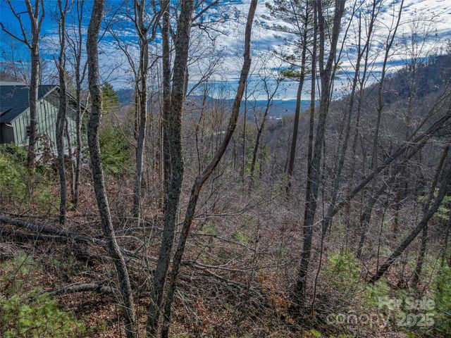 10 Villa Nova Drive, Asheville, NC 28804