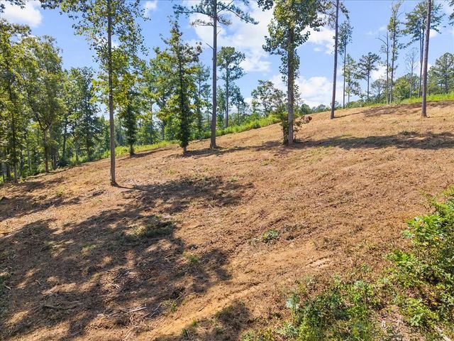 Lot 339 Timber Creek Trail, Talking Rock, GA 30175