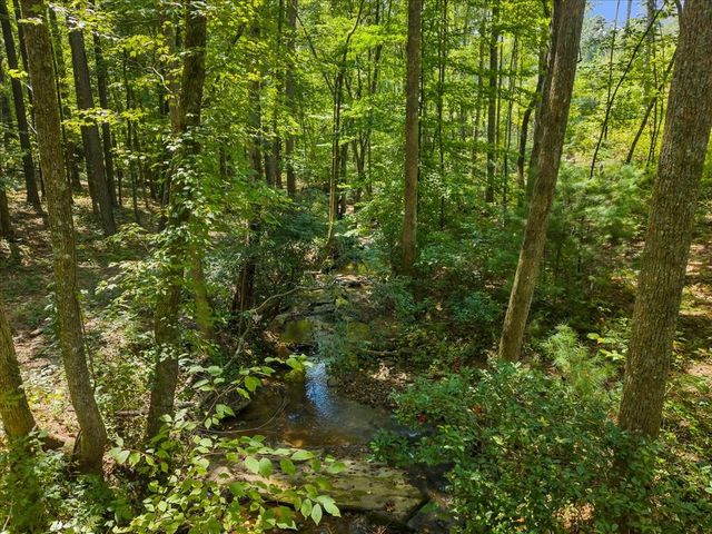 Lot 339 Timber Creek Trail, Talking Rock, GA 30175